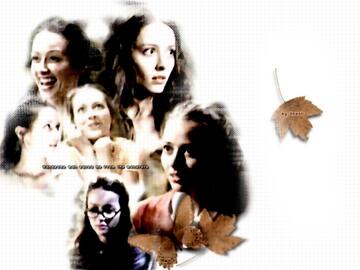 010.jpg