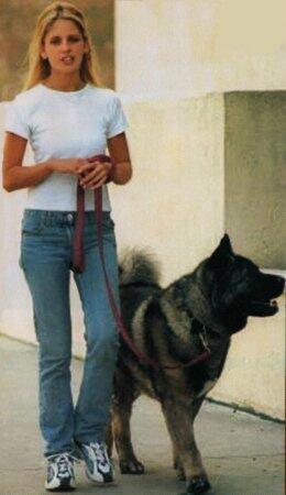 Buffy · Darsteller